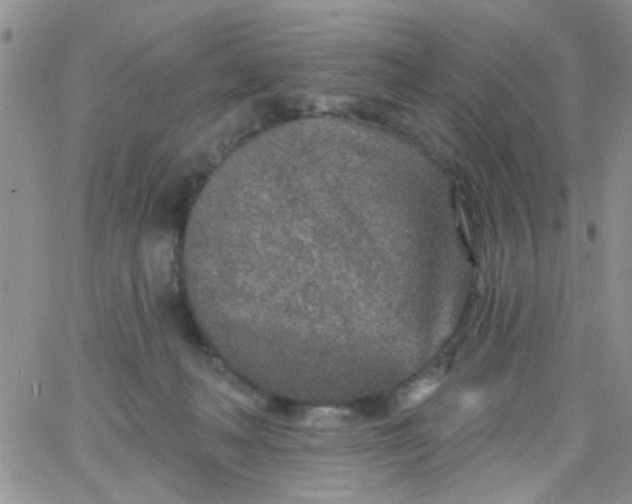 X0000065970222200603172058