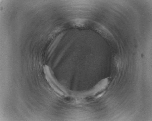 X0000065970223200603172058