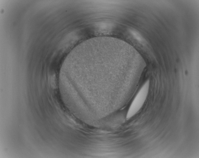 X0000065970224200603172058