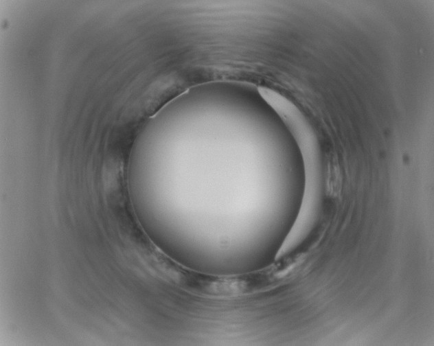 X0000065970225200603172058