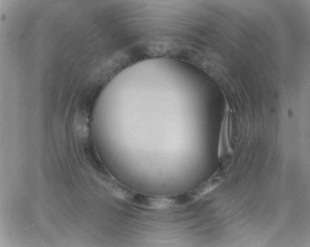 X0000065970226200603172058