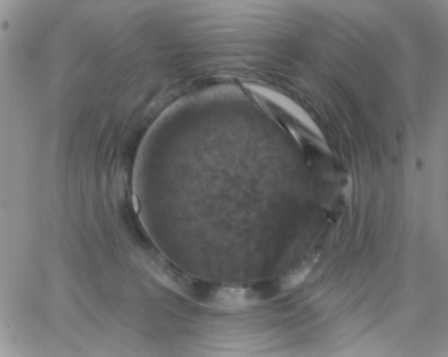 X0000065970227200603172058