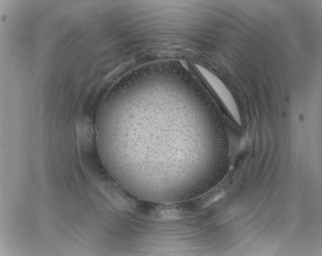 X0000065970228200603172058