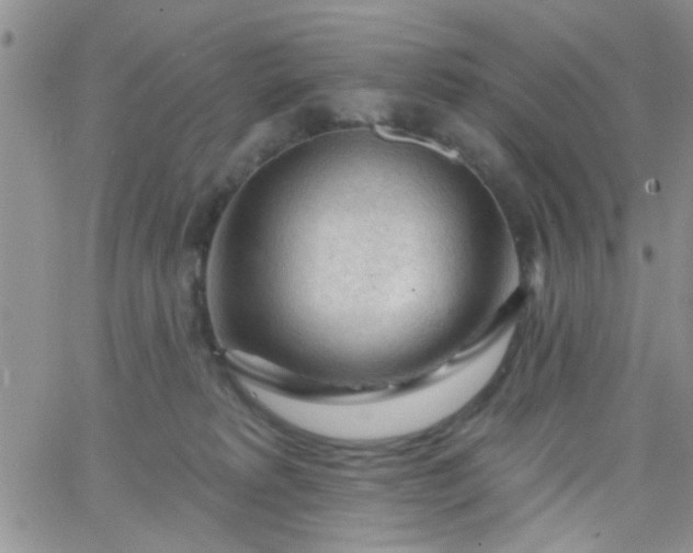 X0000065970229200603172058