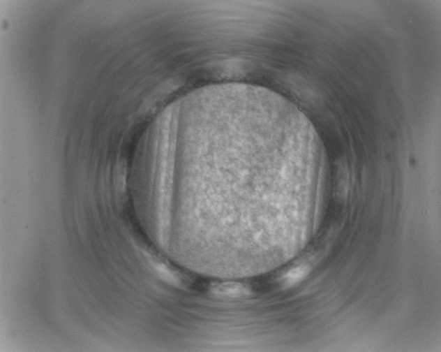 X0000065970230200603172058