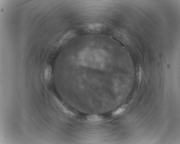 X0000065970231200603172058