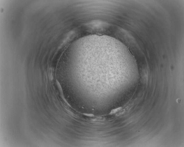 X0000065970232200603172058