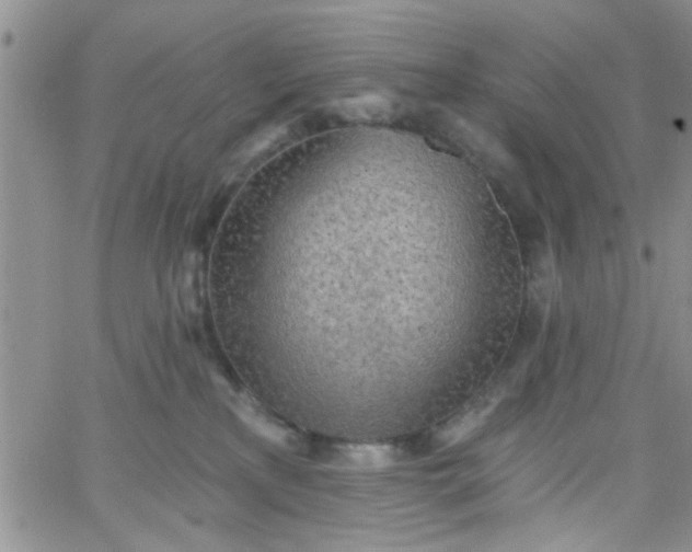 X0000065970233200603172058