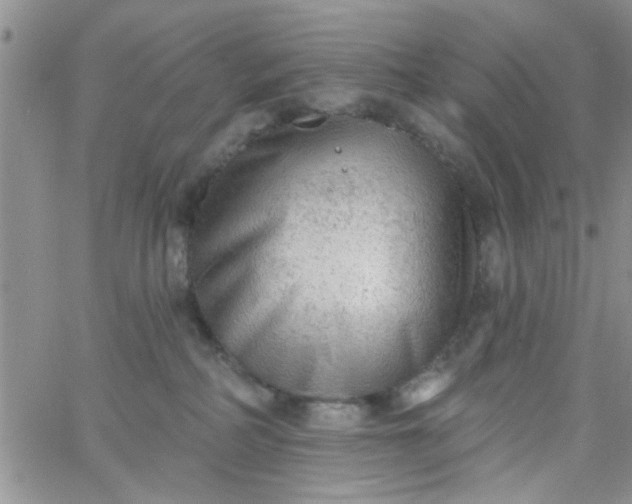 X0000065970234200603172058