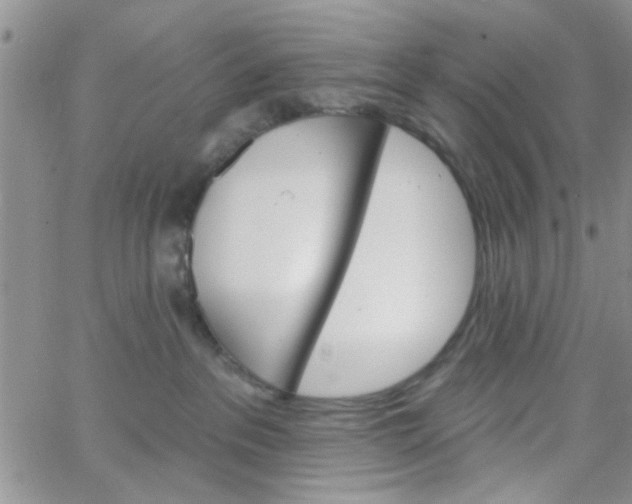 X0000065970237200603172058