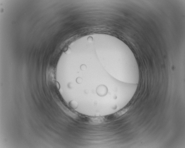 X0000065970238200603172058