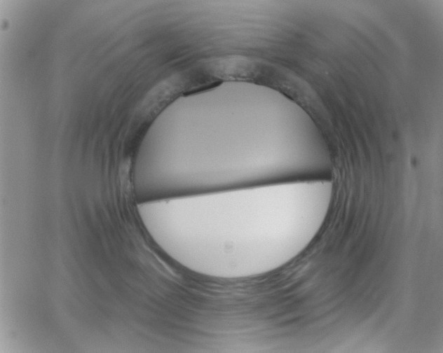 X0000065970239200603172058