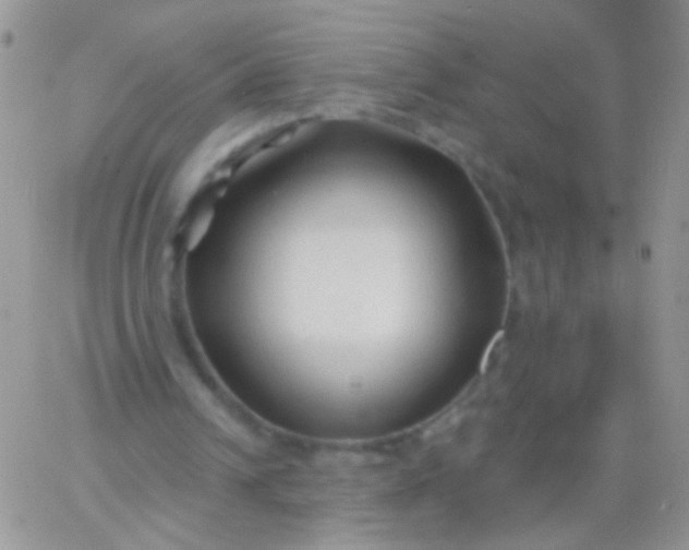 X0000065970242200603172057