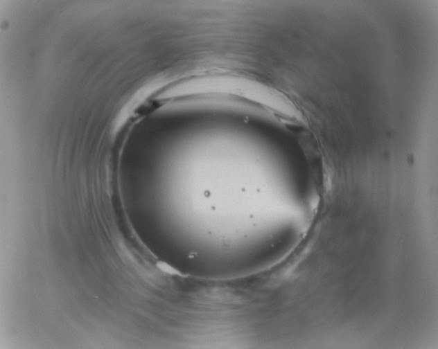 X0000065970244200603172057