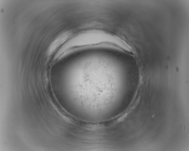 X0000065970245200603172057