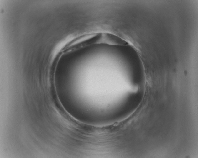 X0000065970248200603172057