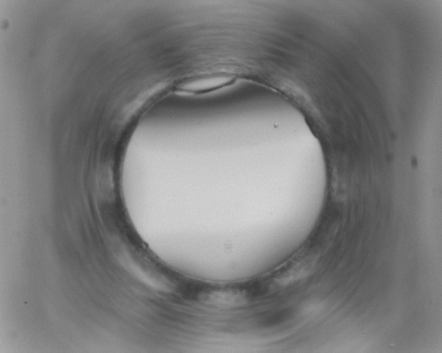 X0000065970251200603172057