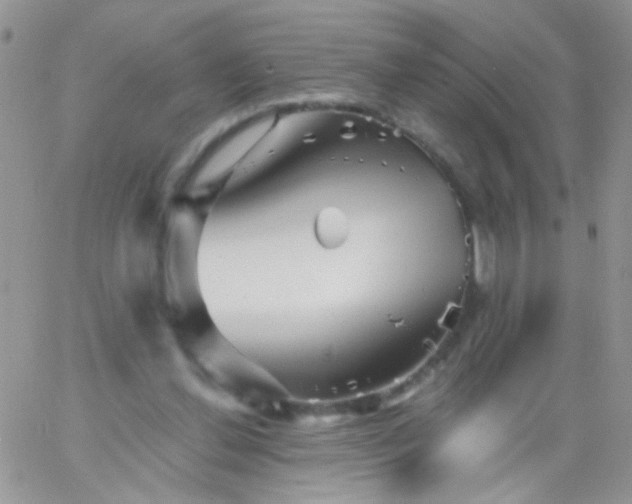 X0000065970252200603172057