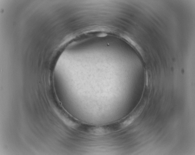 X0000065970253200603172057