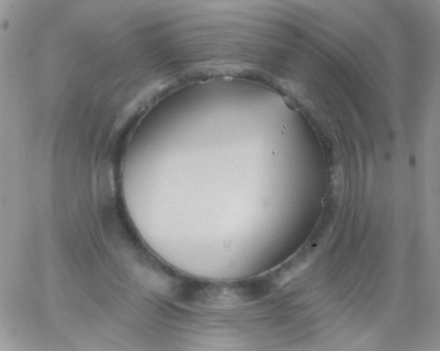 X0000065970254200603172057