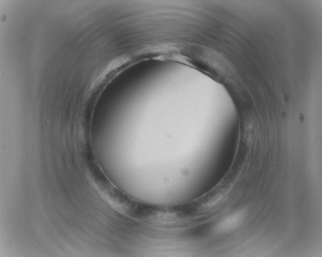 X0000065970256200603172057