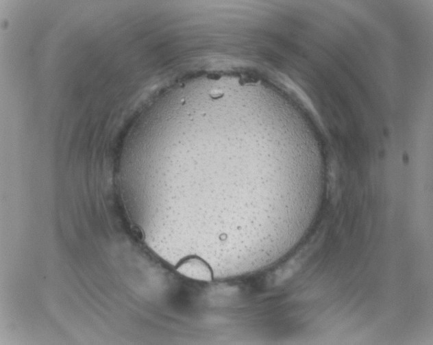 X0000065970257200603172057