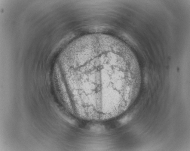 X0000065970258200603172057