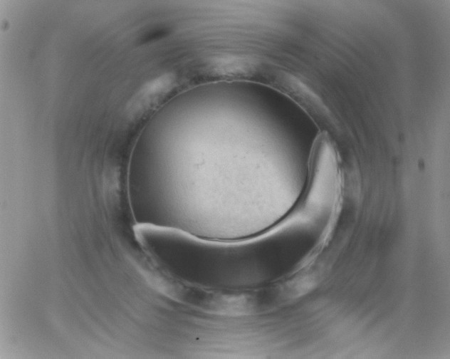 X0000065970260200603172057