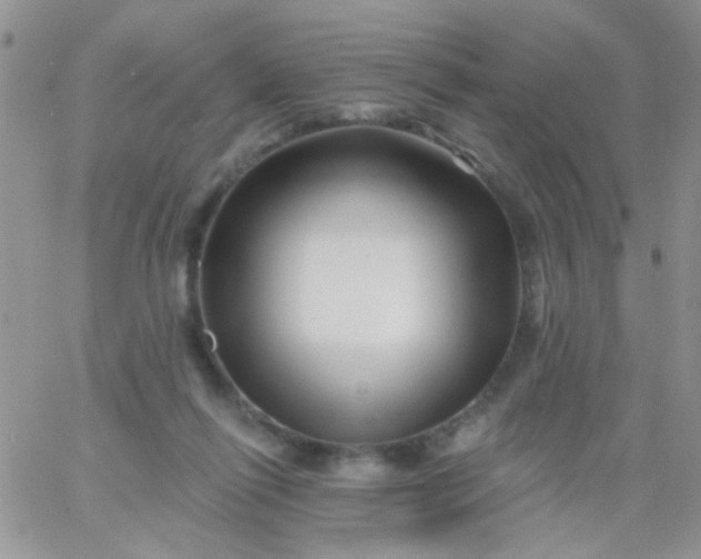 X0000065970262200603172057