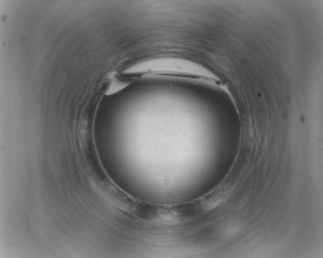 X0000065970263200603172057