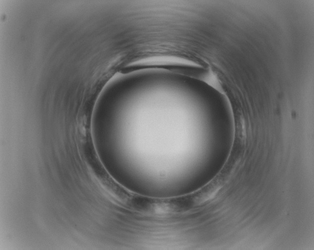 X0000065970264200603172057