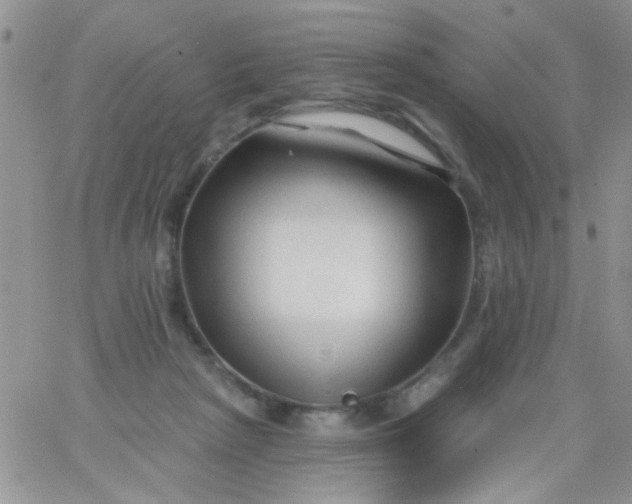 X0000065970265200603172057