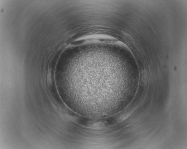 X0000065970267200603172057