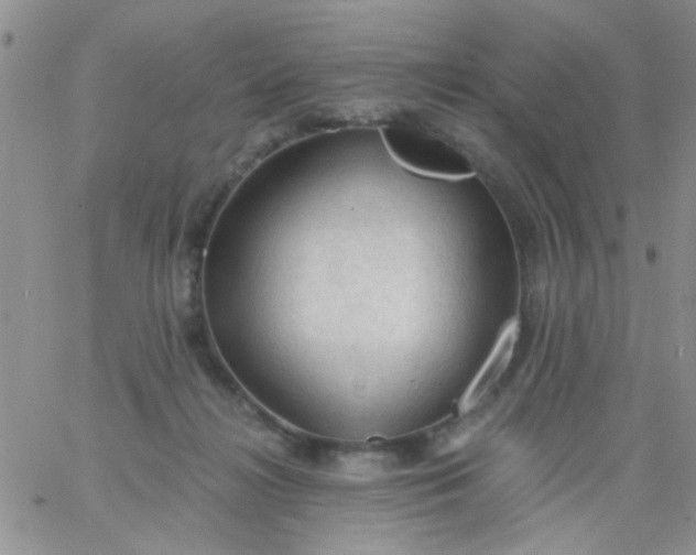 X0000065970268200603172057