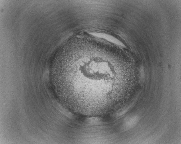 X0000065970269200603172057