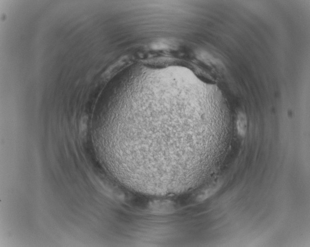 X0000065970271200603172057