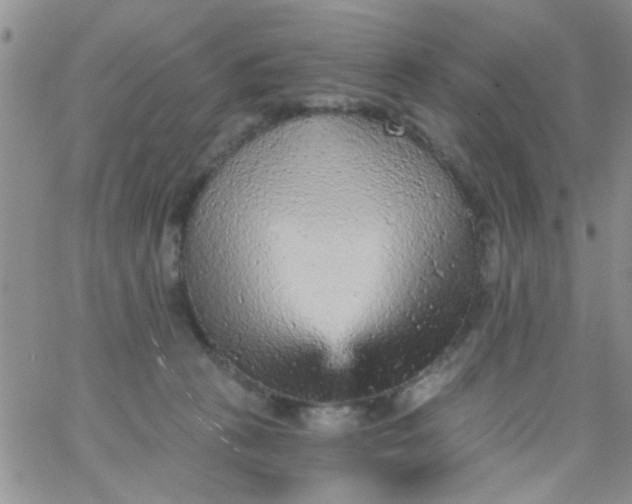 X0000065970273200603172057