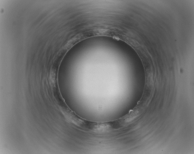 X0000065970274200603172057