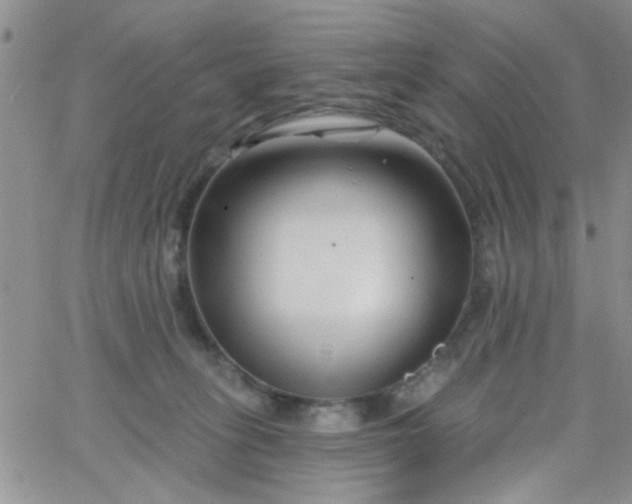 X0000065970275200603172057