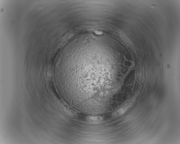 X0000065970277200603172057