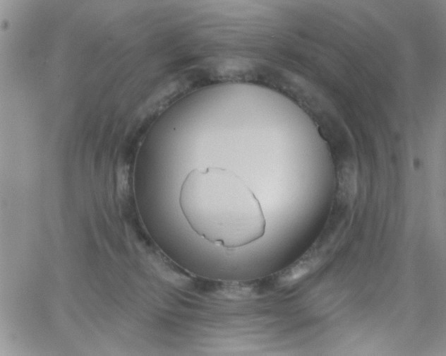 X0000065970278200603172057