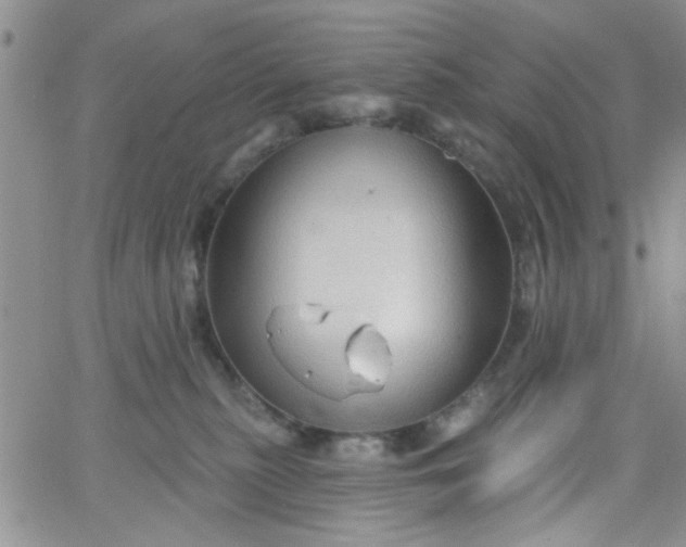 X0000065970279200603172058