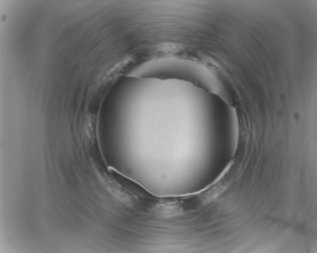 X0000065970280200603172058