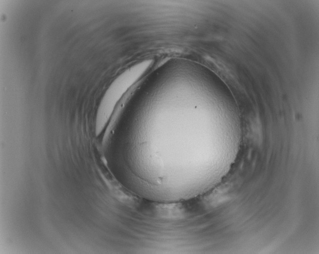 X0000065970281200603172058