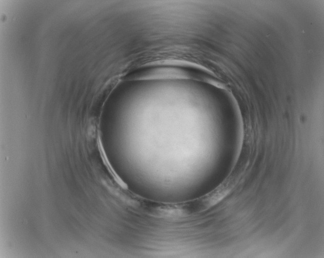 X0000065970284200603172058