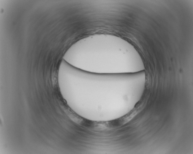 X0000065970285200603172058