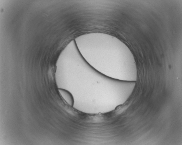 X0000065970286200603172058