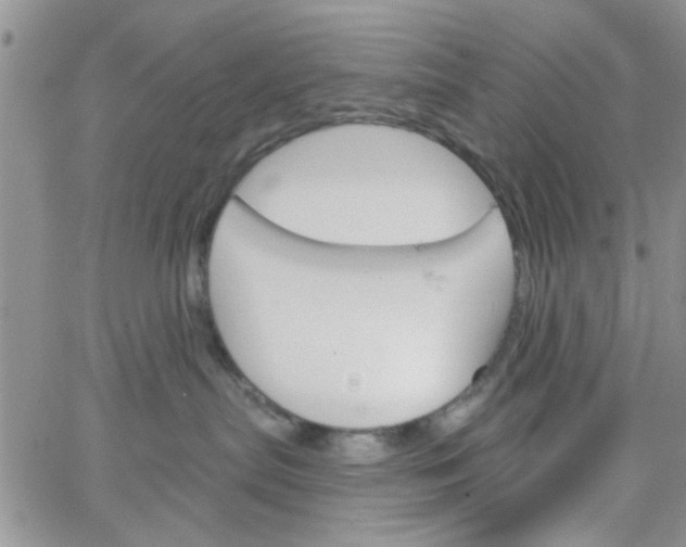 X0000065970287200603172058