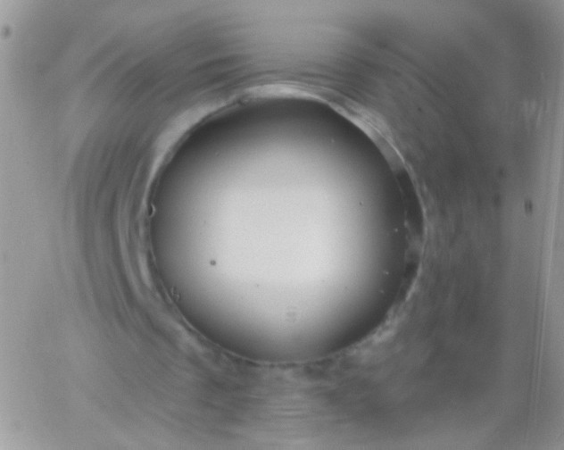 X0000065970289200603172057