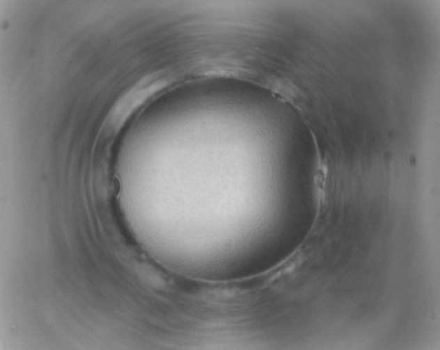 X0000065970291200603172057